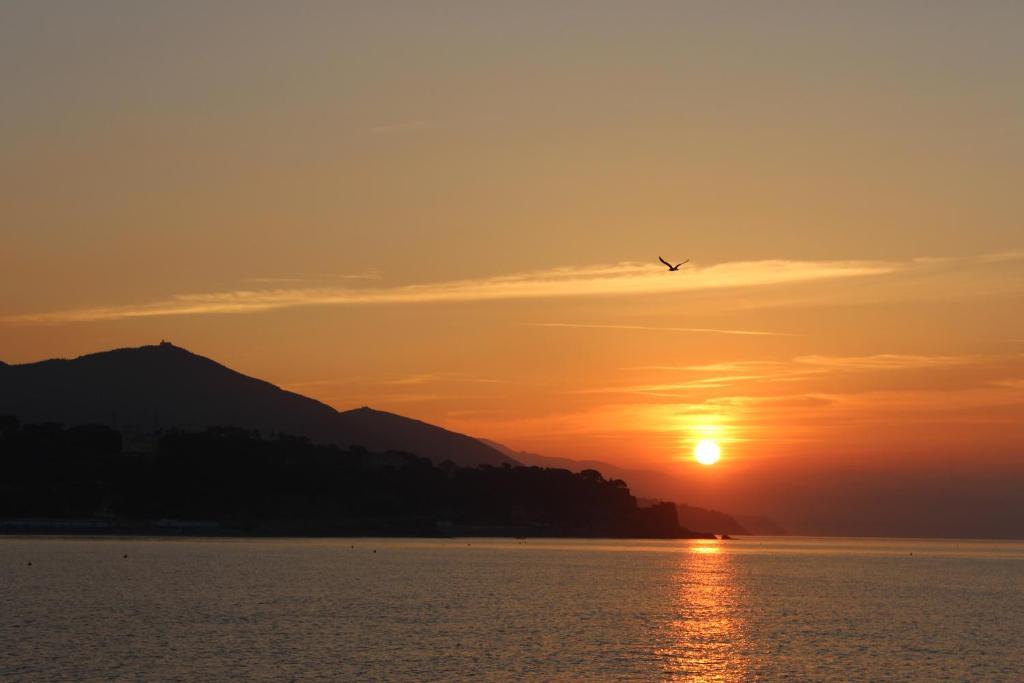 Hotel Garden Albissola Marina Dış mekan fotoğraf